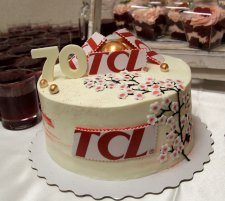 Обучающий тур TCL